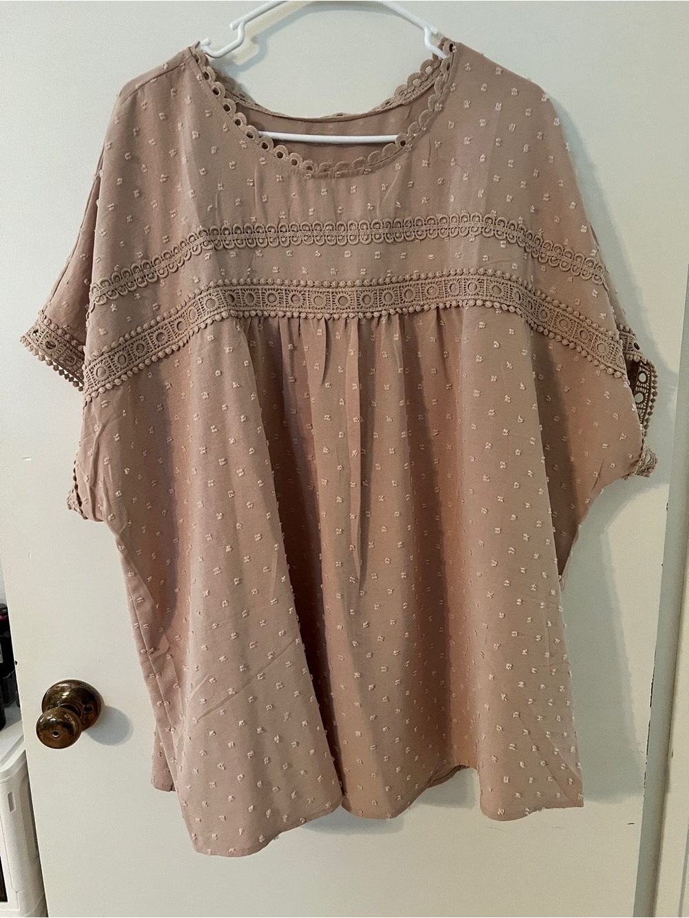 Amazon Women's Taupe Swiss Dot Crochet Yoke Blouse